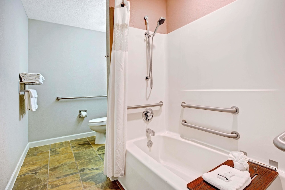 Microtel Inn & Suites by Wyndham Statesville 15/43