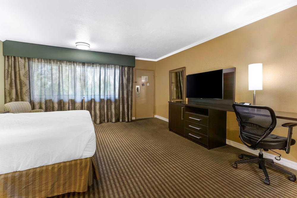 غرفة أساسية مفردة بسرير كينج، Royal Sun Inn & Suites 4/6