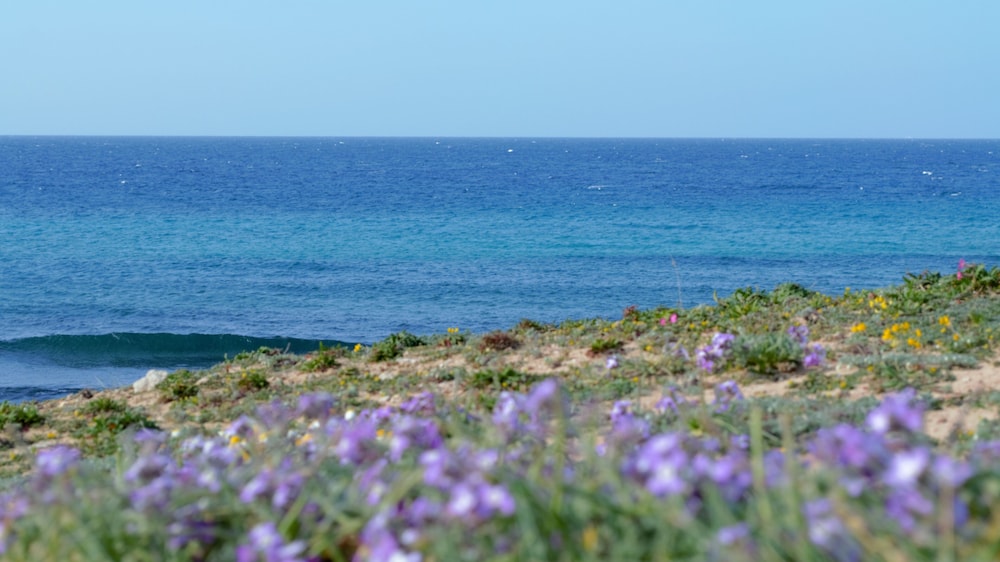 Residence Cala Verde 44/50