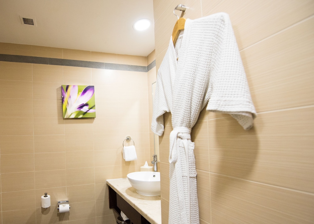 Hilton Garden Inn New Delhi Saket 33/66