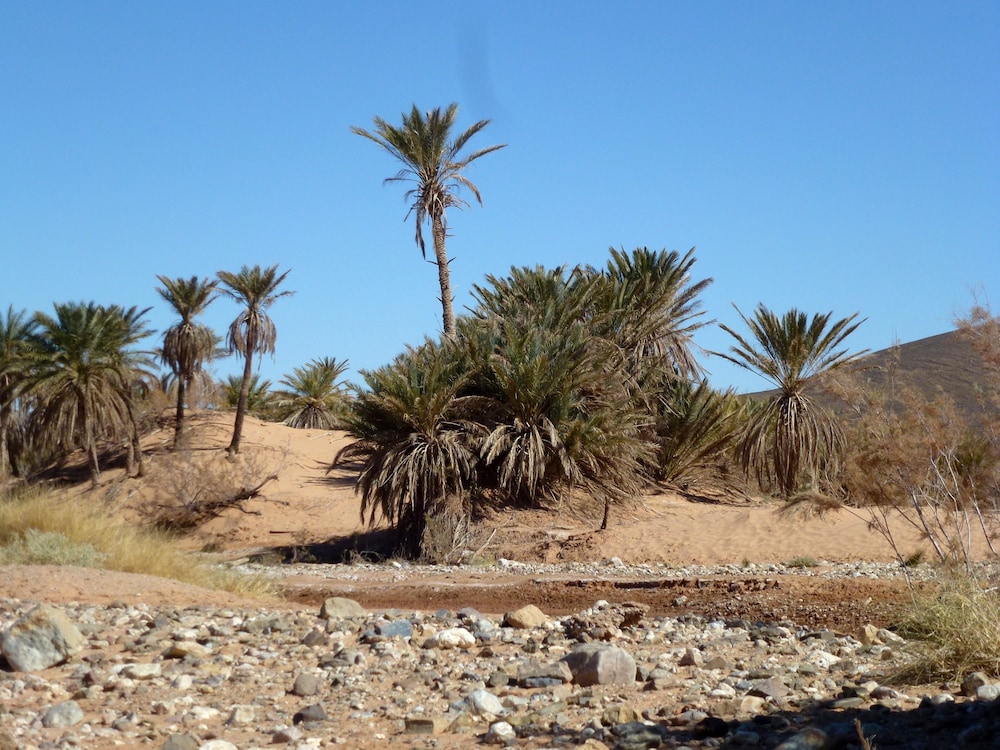 LA VALLEE DES DUNES 55/60