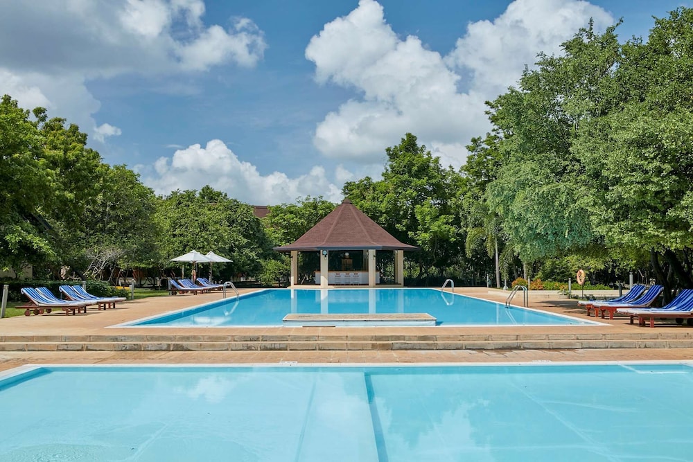 The Paradise Dambulla 26/55