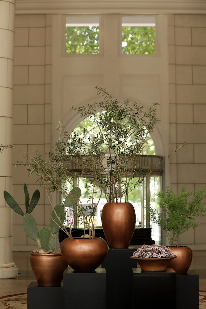 Park Hyatt Mendoza 53/70