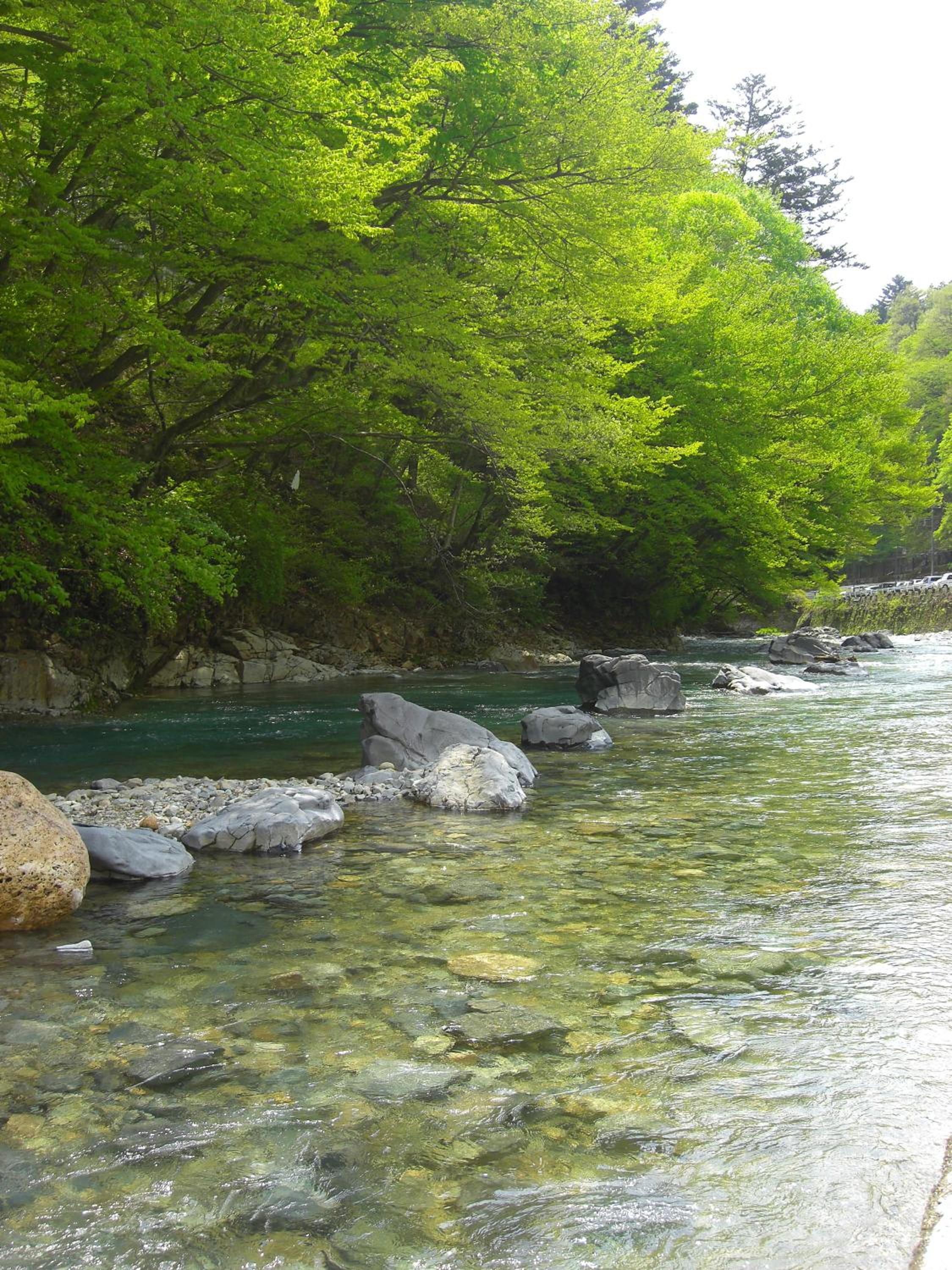 Shima Onsen Ayameya Ryokan 43/54