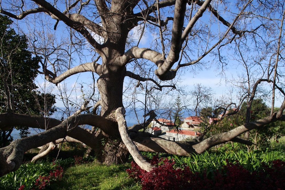 Quinta Das Vinhas Hotel 23/36