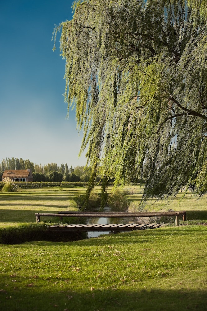 Algodon Wine Estates and Champions Club 26/67