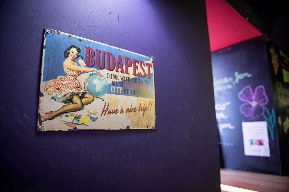 Wombats Hungary photo3