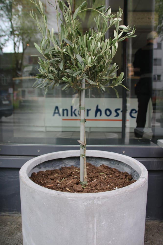 Anker Hostel Oslo 11/25