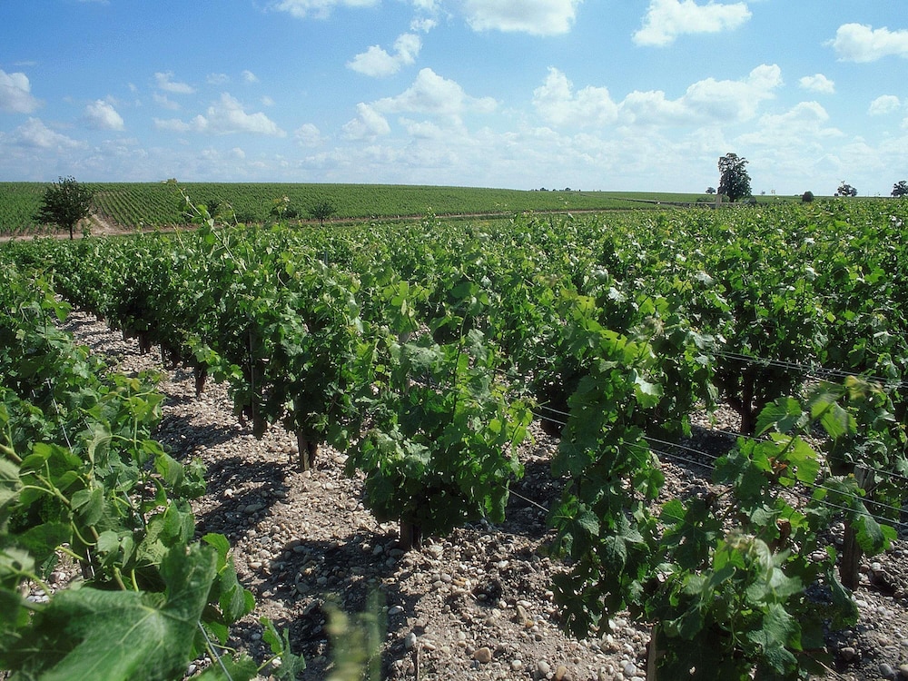 Ibis Bordeaux Pessac 68/70