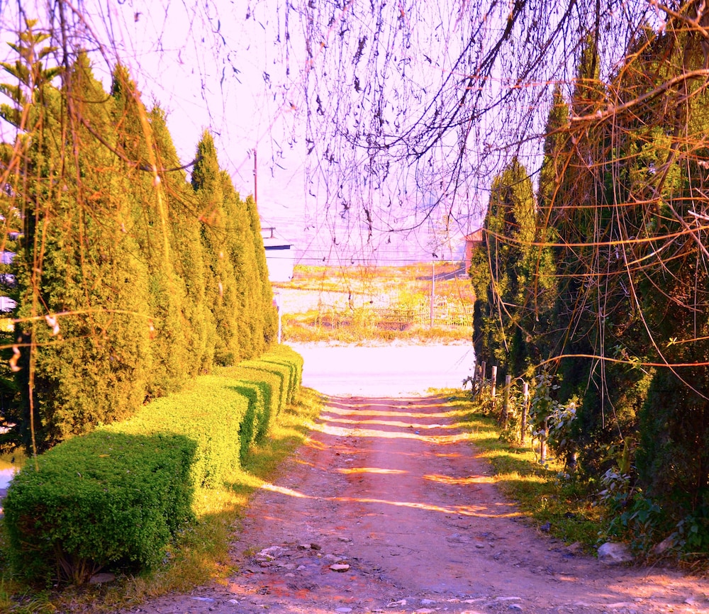 Araniko Village Resort 41/50