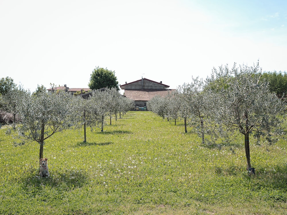 Villa Bongiovanni 19/44