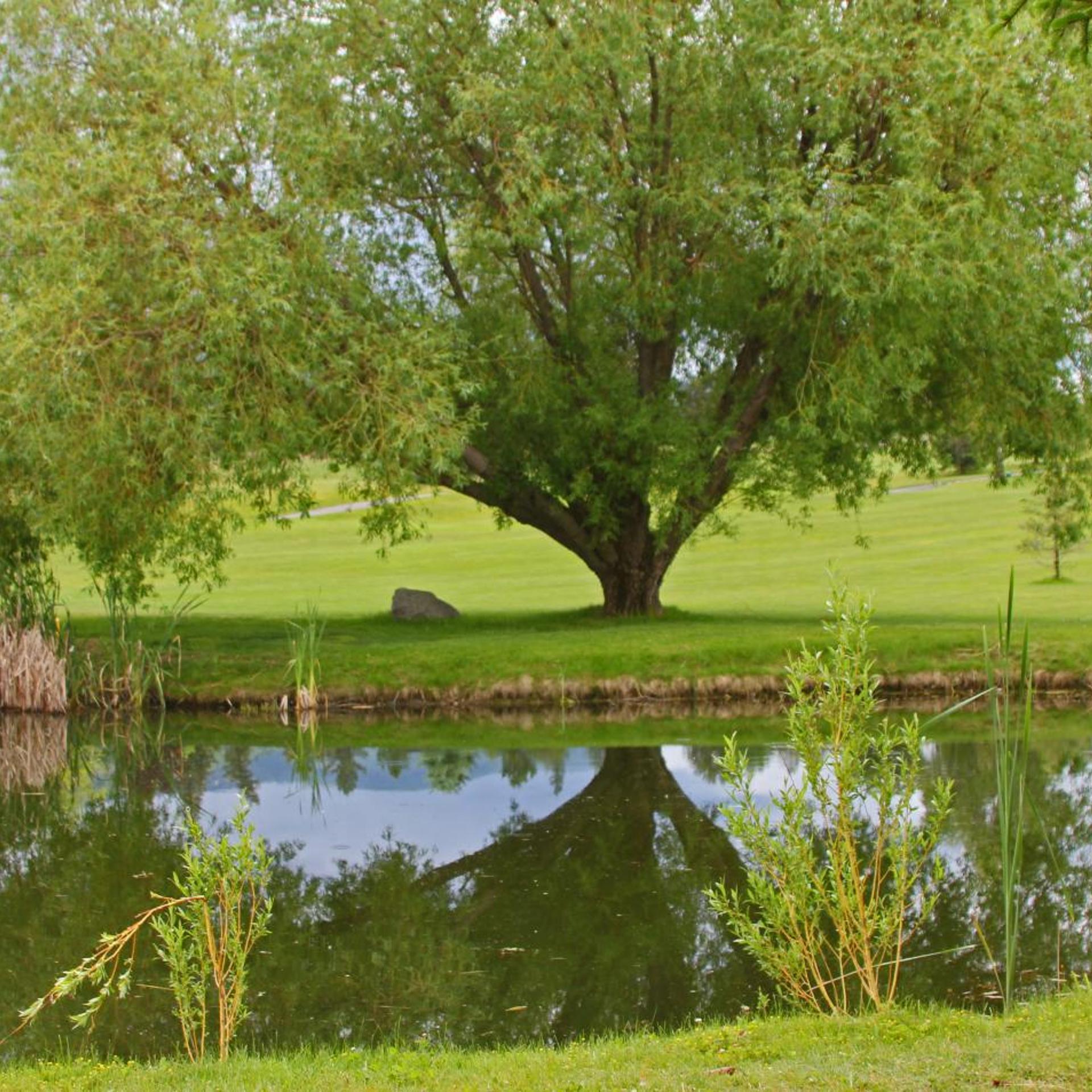 Stoneridge Resort 41/47