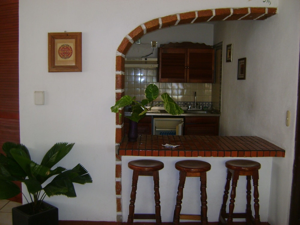 Vallarta Sol 9/50