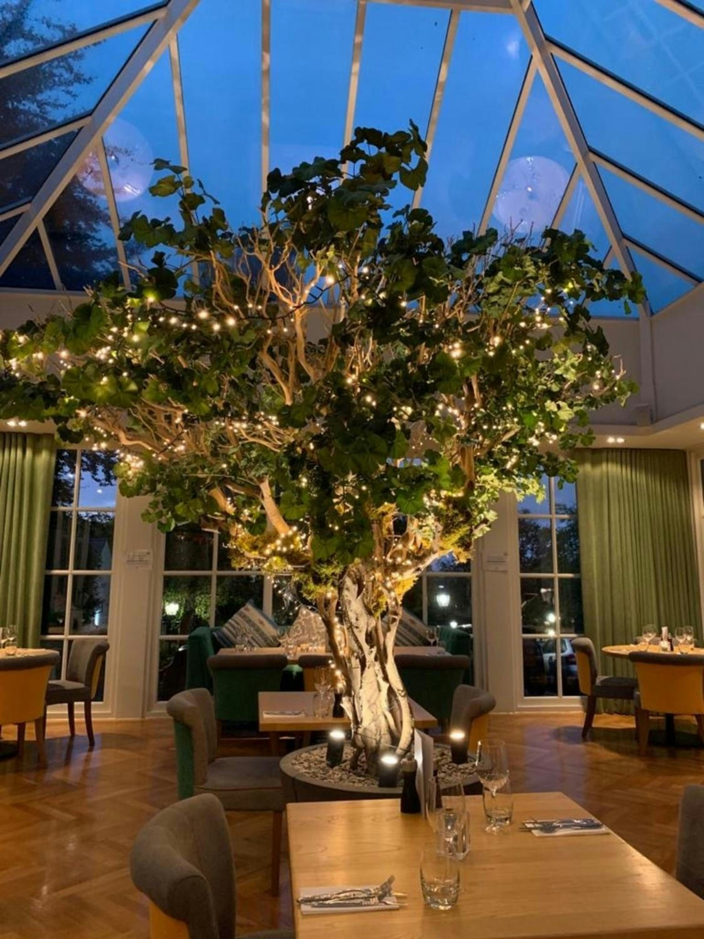 Alderley Edge Hotel 11/12
