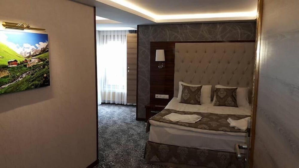 Ayder Hasimoglu Hotel 28/50