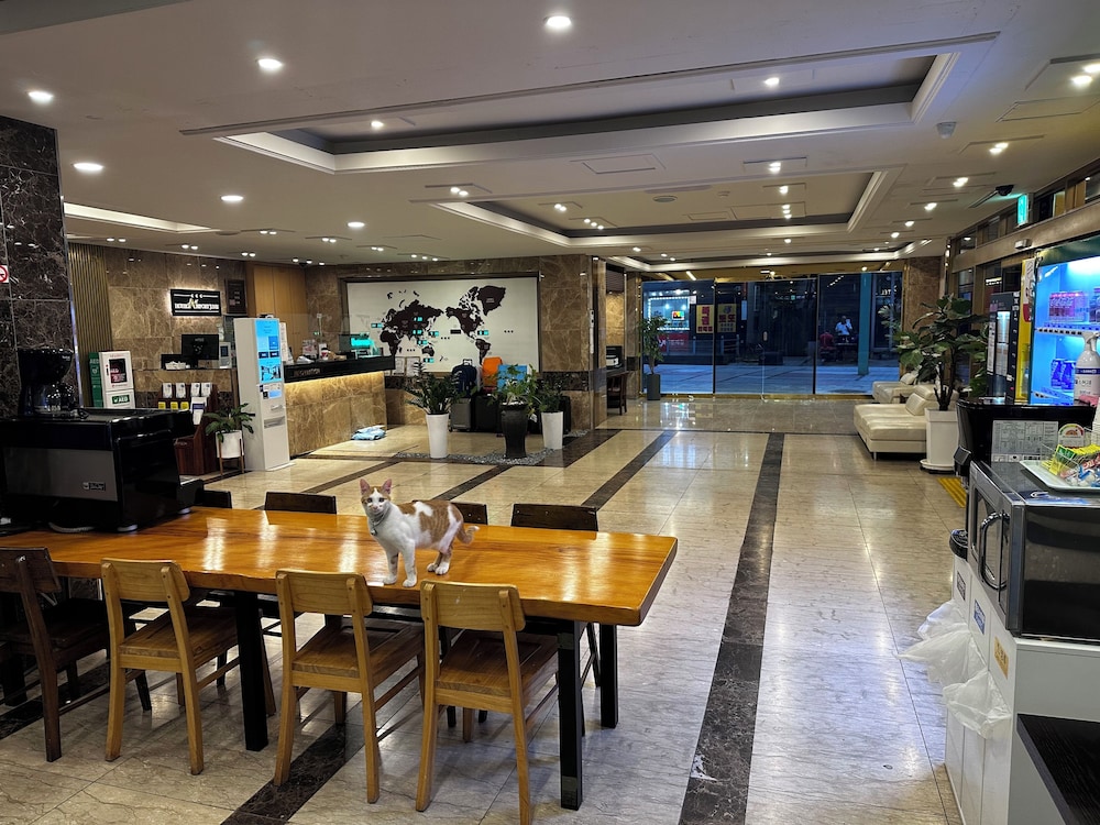 Incheon Airport Hotel June 35/50