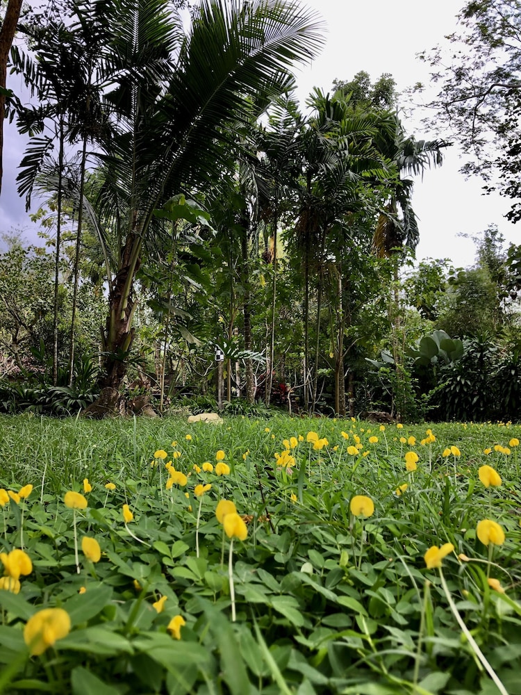 Rumah Boedi Private Residence Villa 48/64