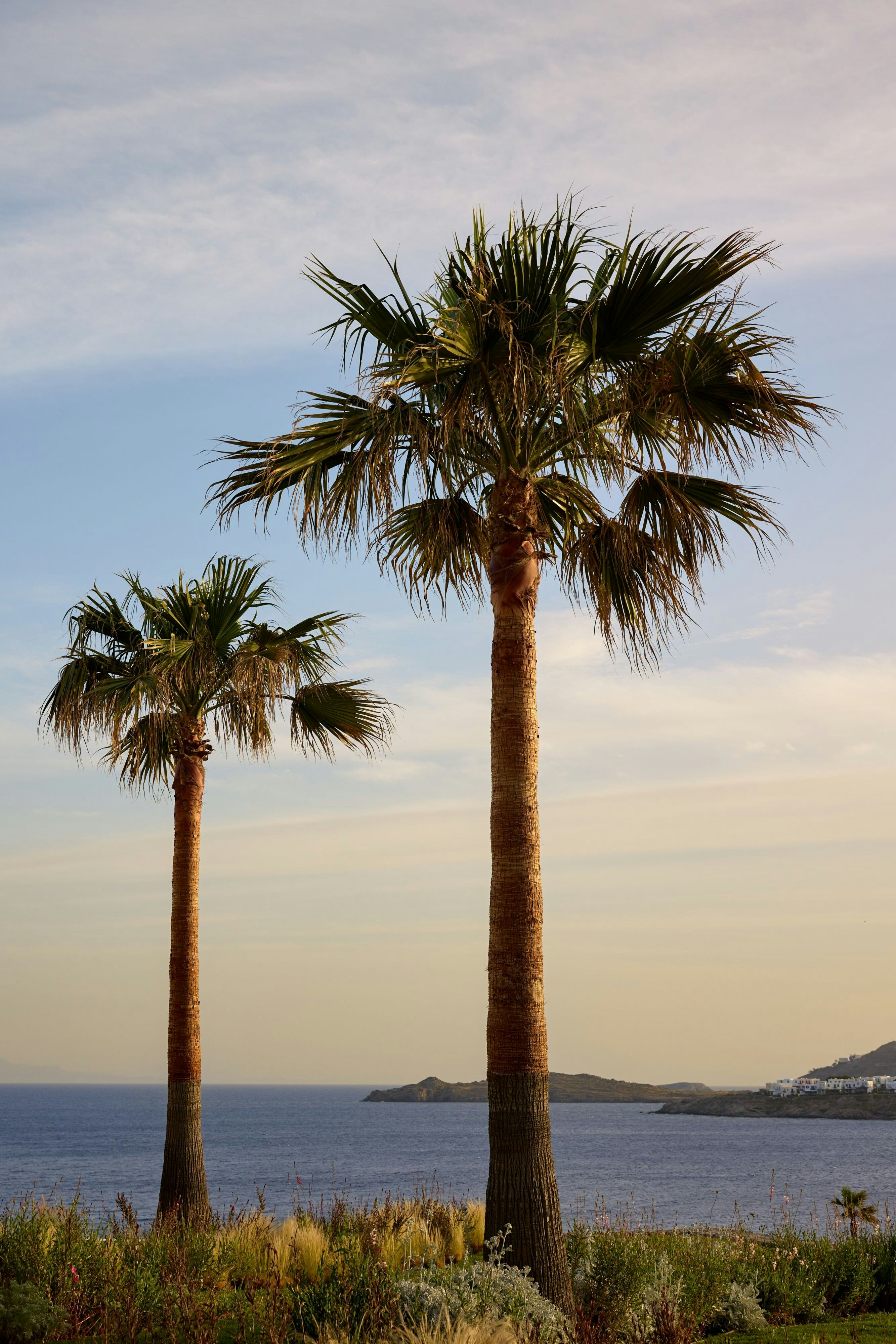 Santa Marina, a Luxury Collection Resort, Mykonos 49/67