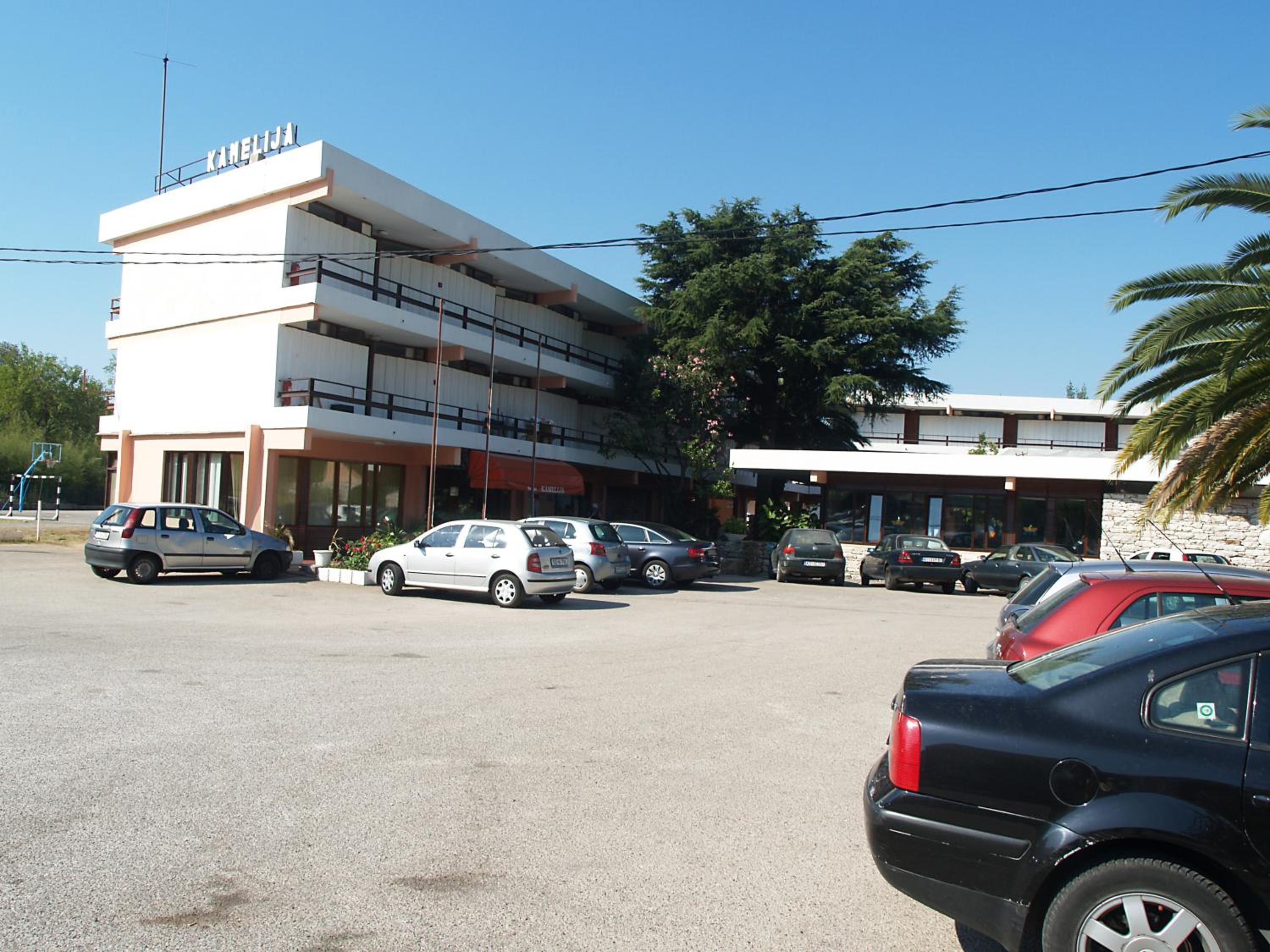 Kamelija 29/42