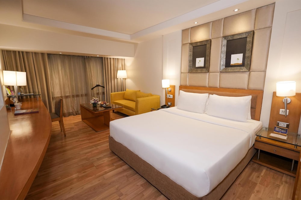 Park Plaza - Ludhiana 18/79