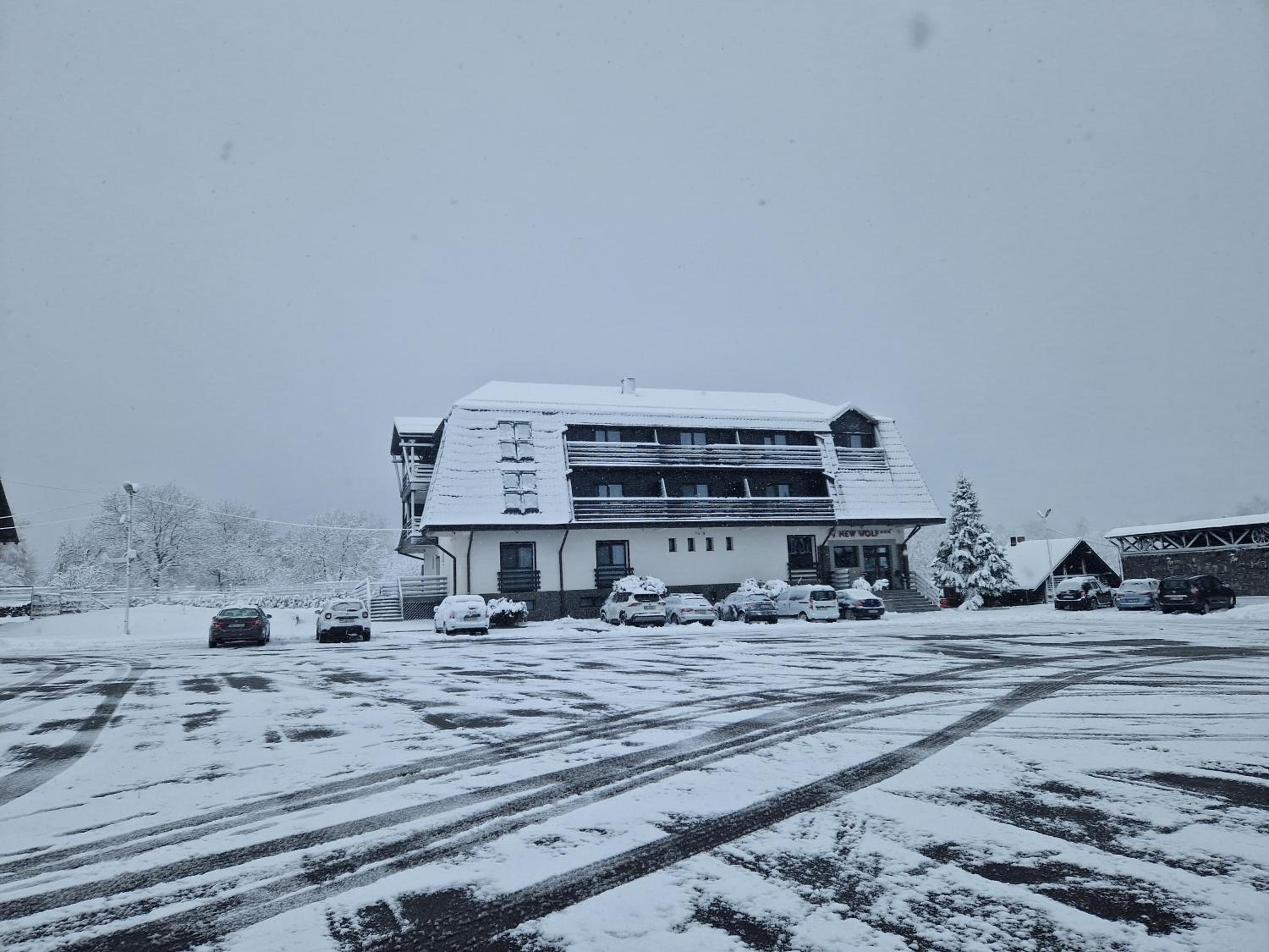 HOTEL WOLF 4/47