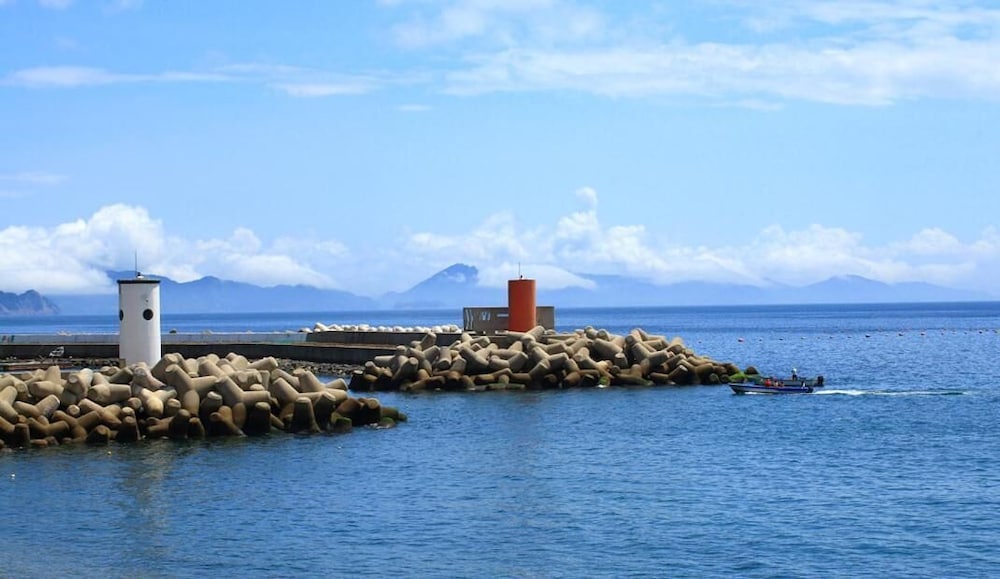 Pinky Marine Pension 36/50