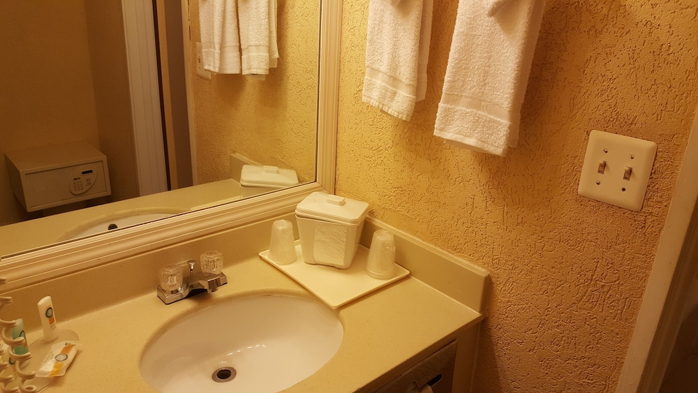 Econo Lodge Tampa near Busch Gardens 37/42