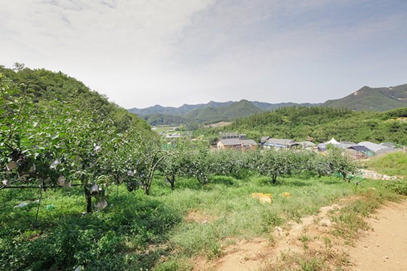 Wonju Songho Tourist Farm Pension 11/13
