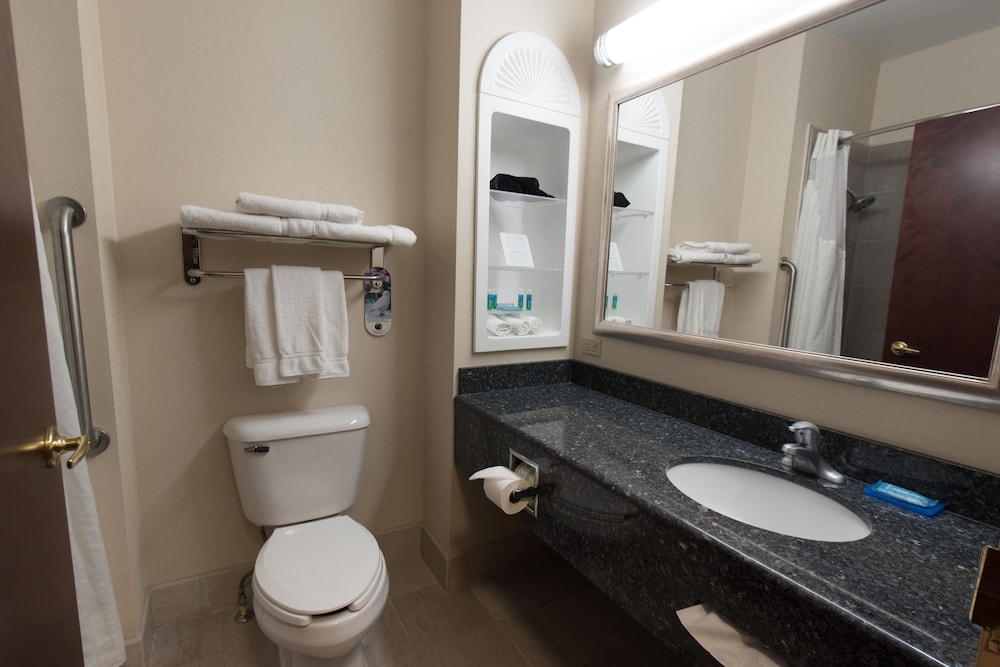 Holiday Inn Express & Suites North East (Erie I-90 Exit 41) 23/60