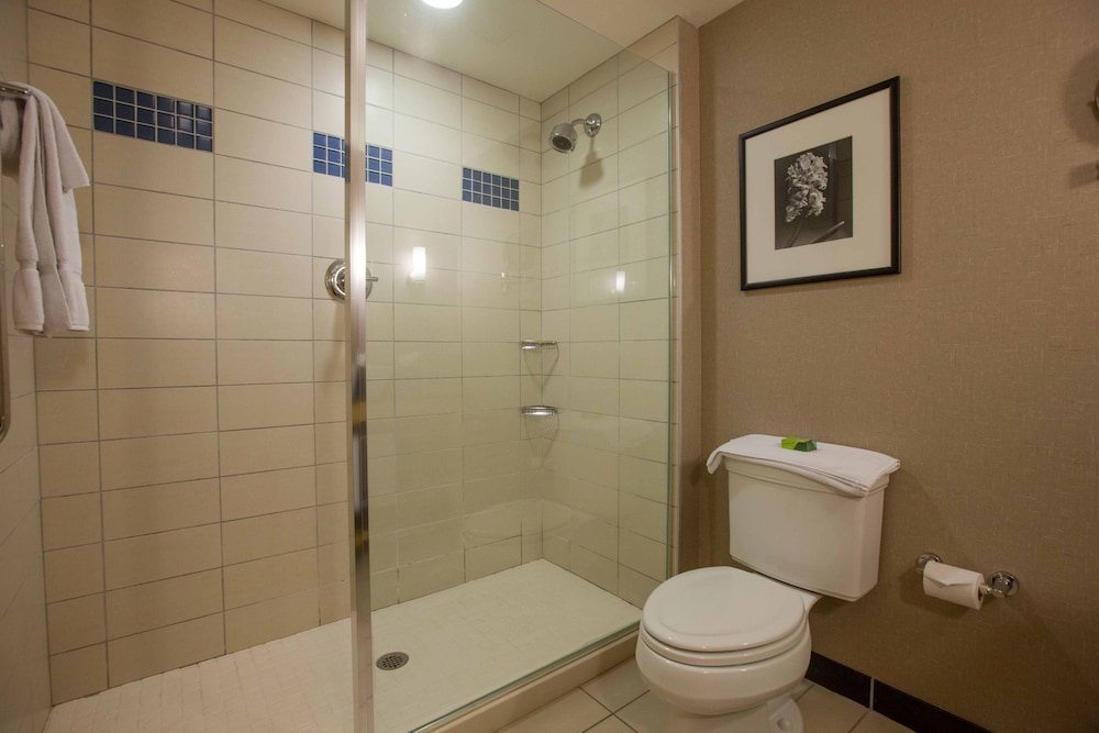 جناح بسريرين كوين لذوي الإعاقة، Wyndham Noblesville 3/8