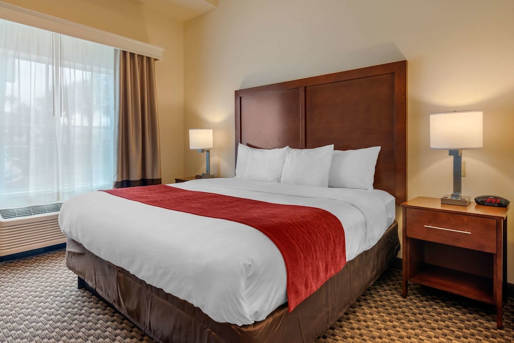 SUITE, KING BED