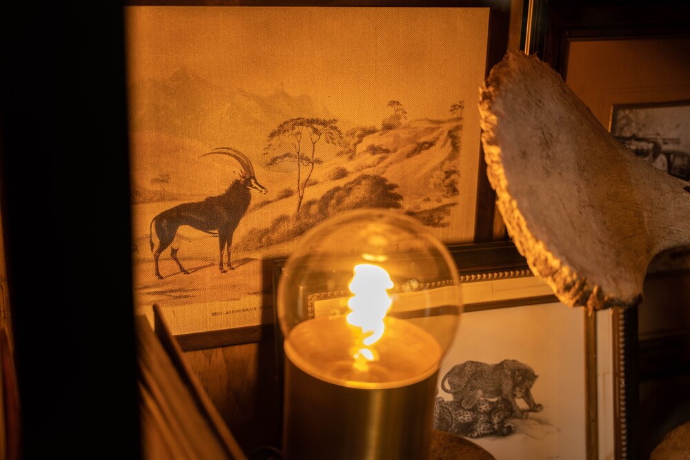 Thornybush Game Lodge 24/62
