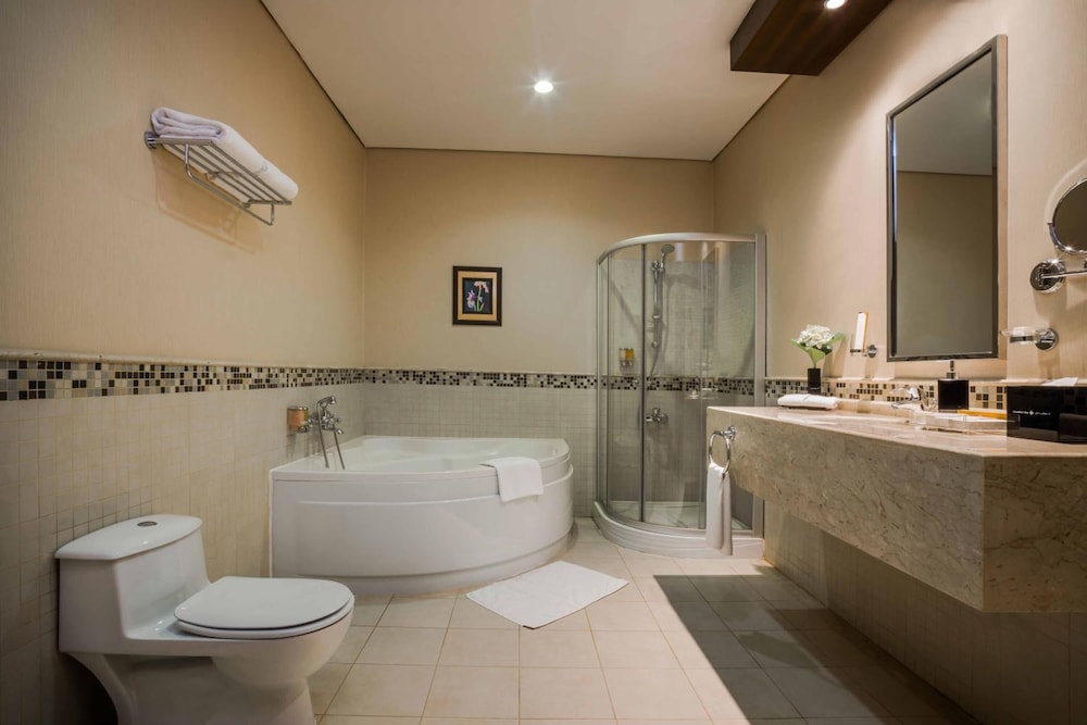 جلوريا ان الرياض(Gloria Inn Riyadh) 44/45