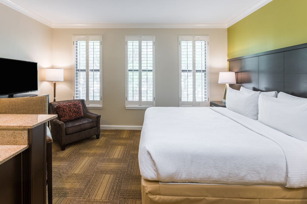 Studio, Suite, King Bed, Kitchen