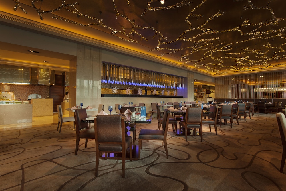 Radisson Blu Plaza Chongqing 32/50