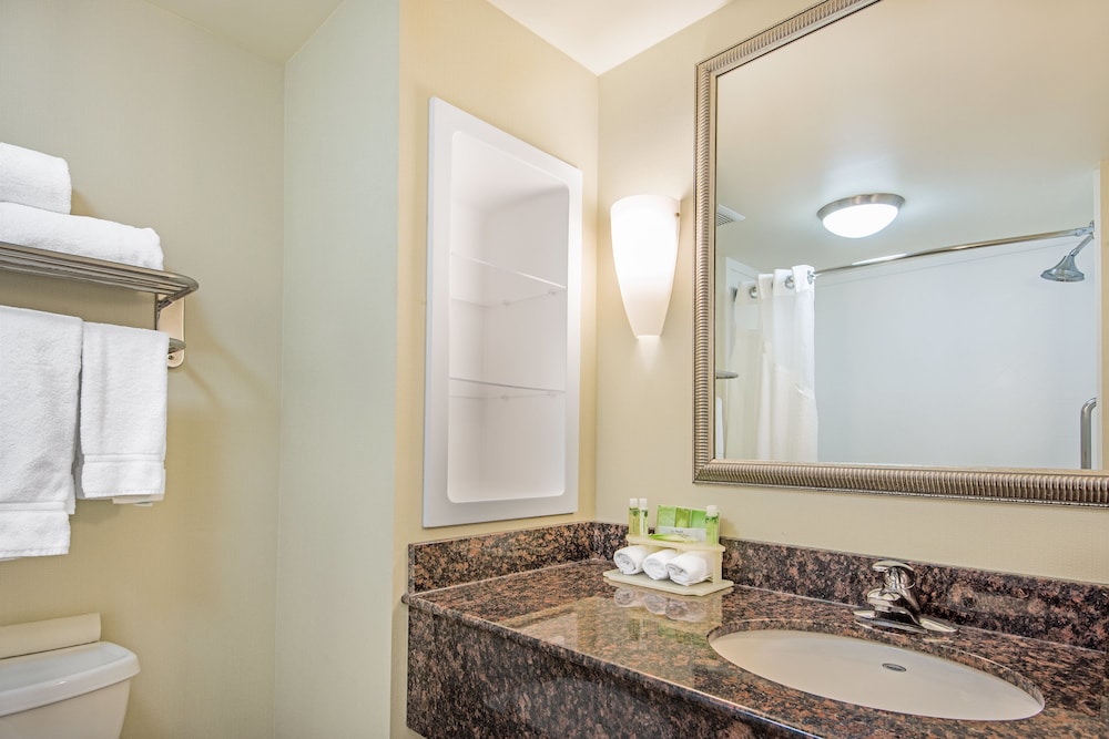 Holiday Inn Express Suites Clute Lake Jackson 31/63