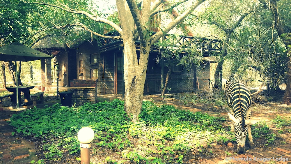 Phumula Kruger Lodge 56/66