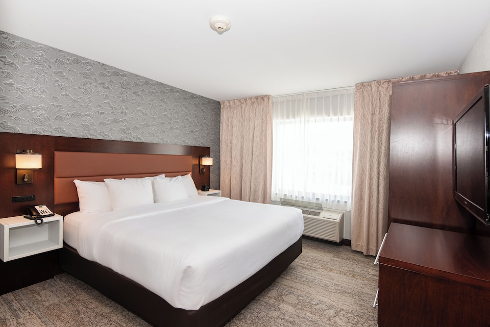 Efficiency, Suite, King Bed, Sofa