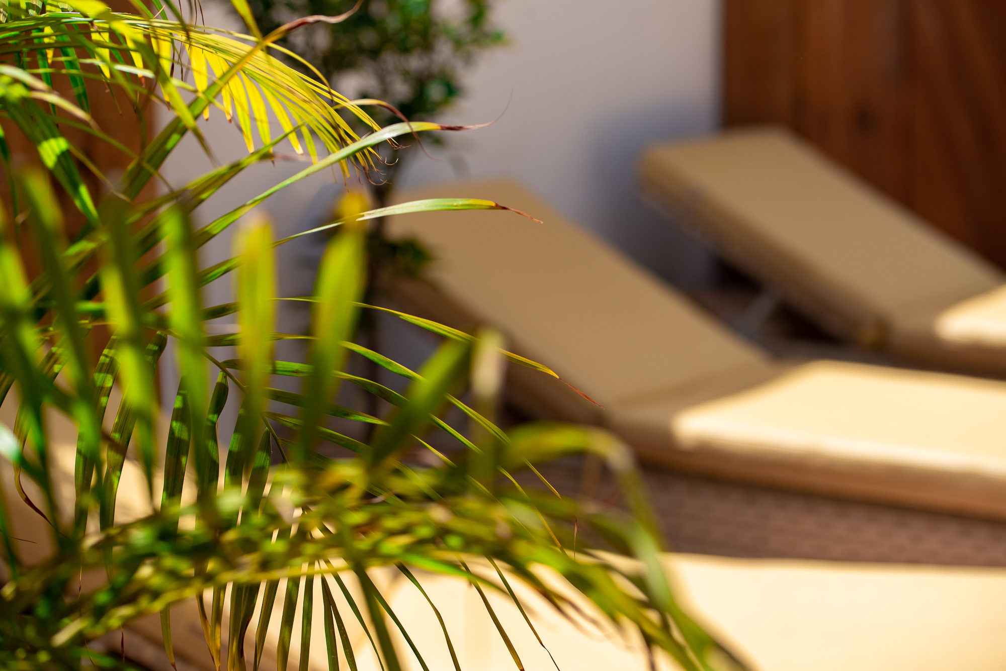 El Charco Suites 46/50