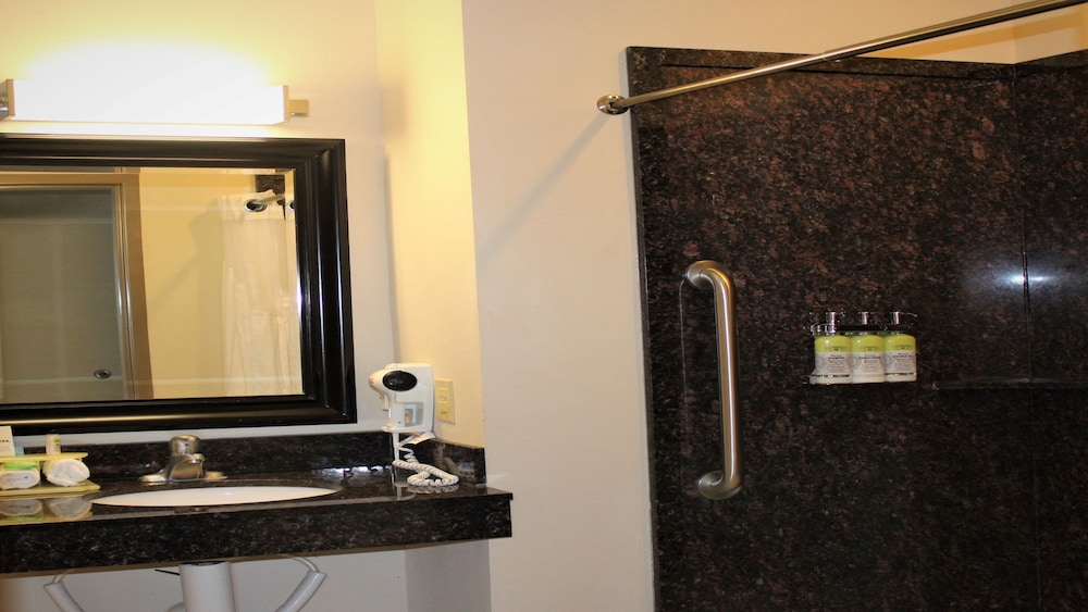 Holiday Inn Express Hotel & Suites Rockingham 22/59