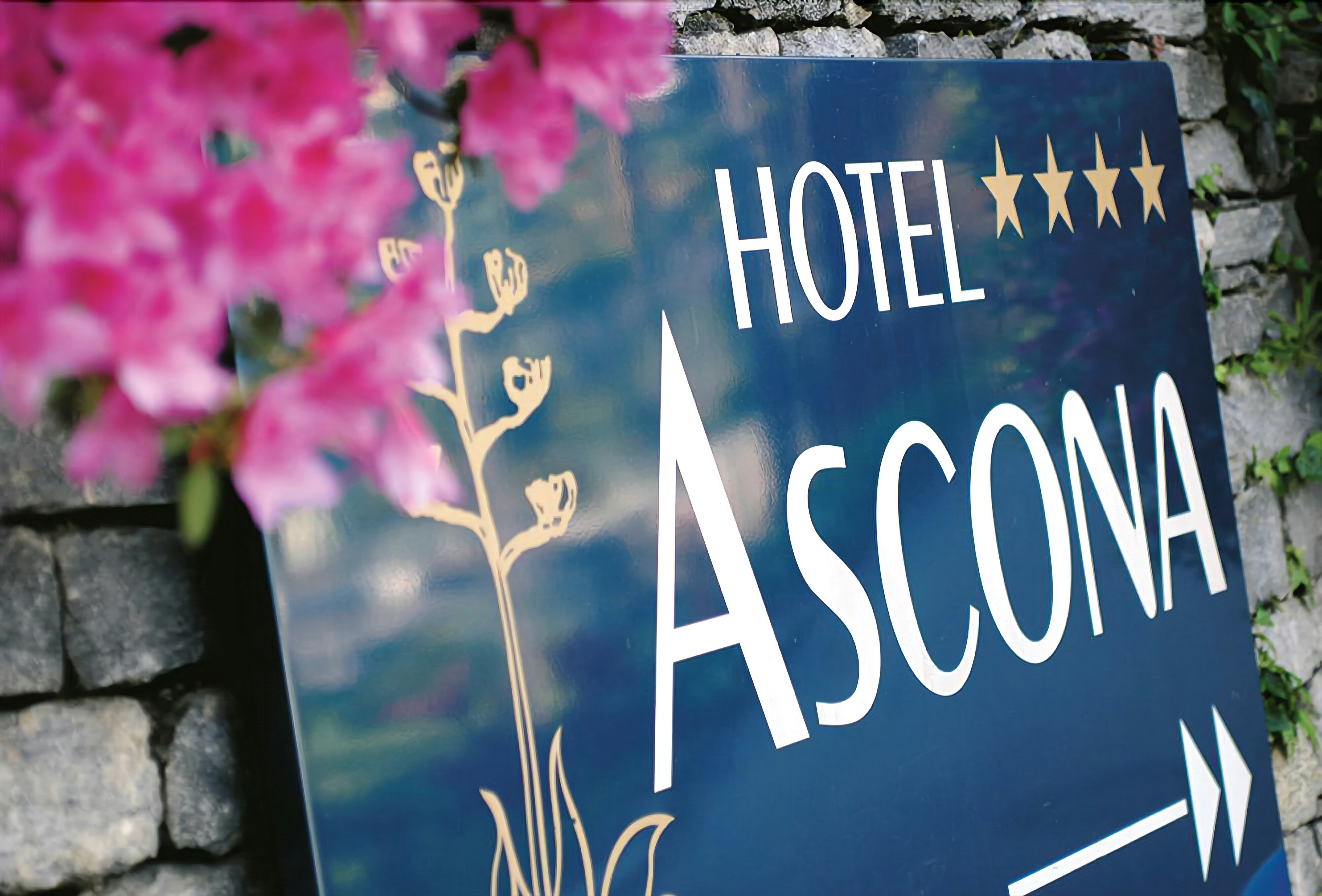 Ascona 23/23