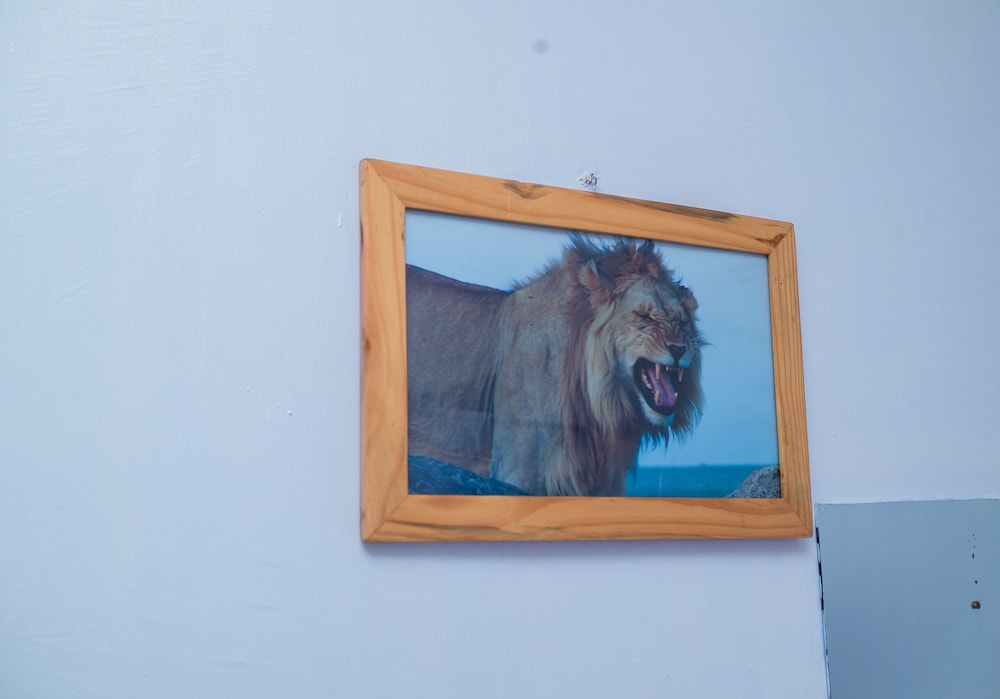 Arusha Giraffe Lodge 25/50
