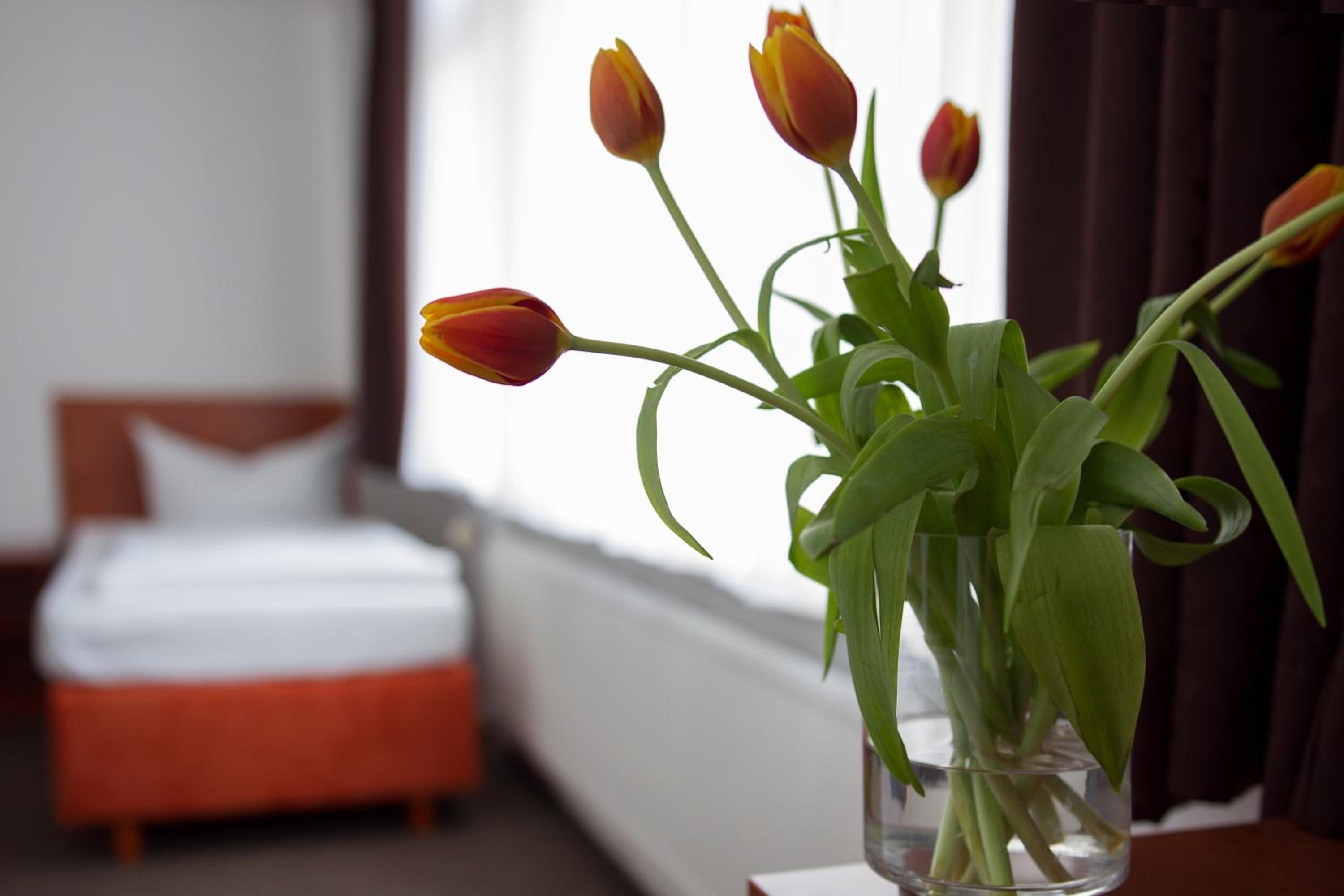 Hotel Eckstein 21/27
