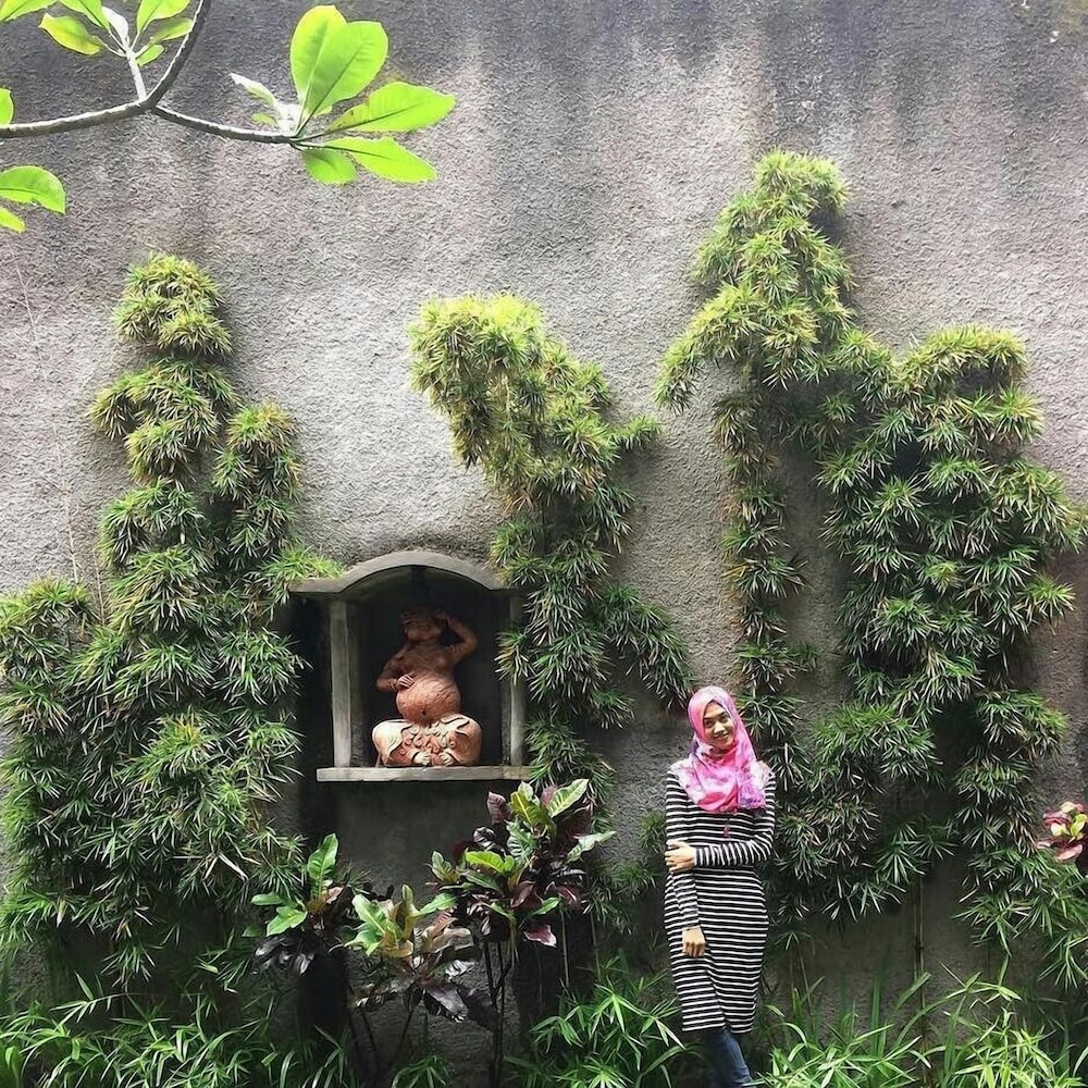 D'Fresh Guest House & Resto 8/22