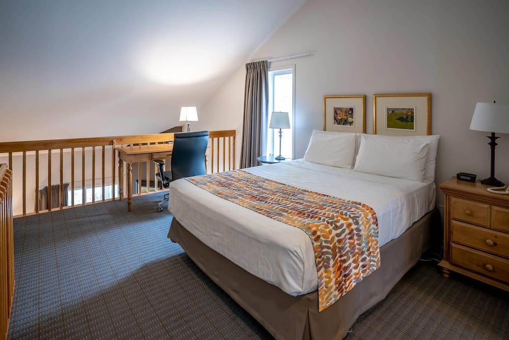 Efficiency, Suite, Queen Bed, Sofa