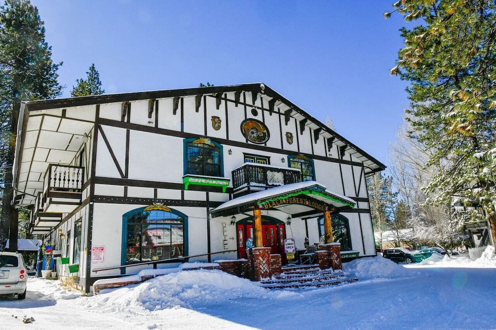 Black Forest Lodge And Cabins 42/50