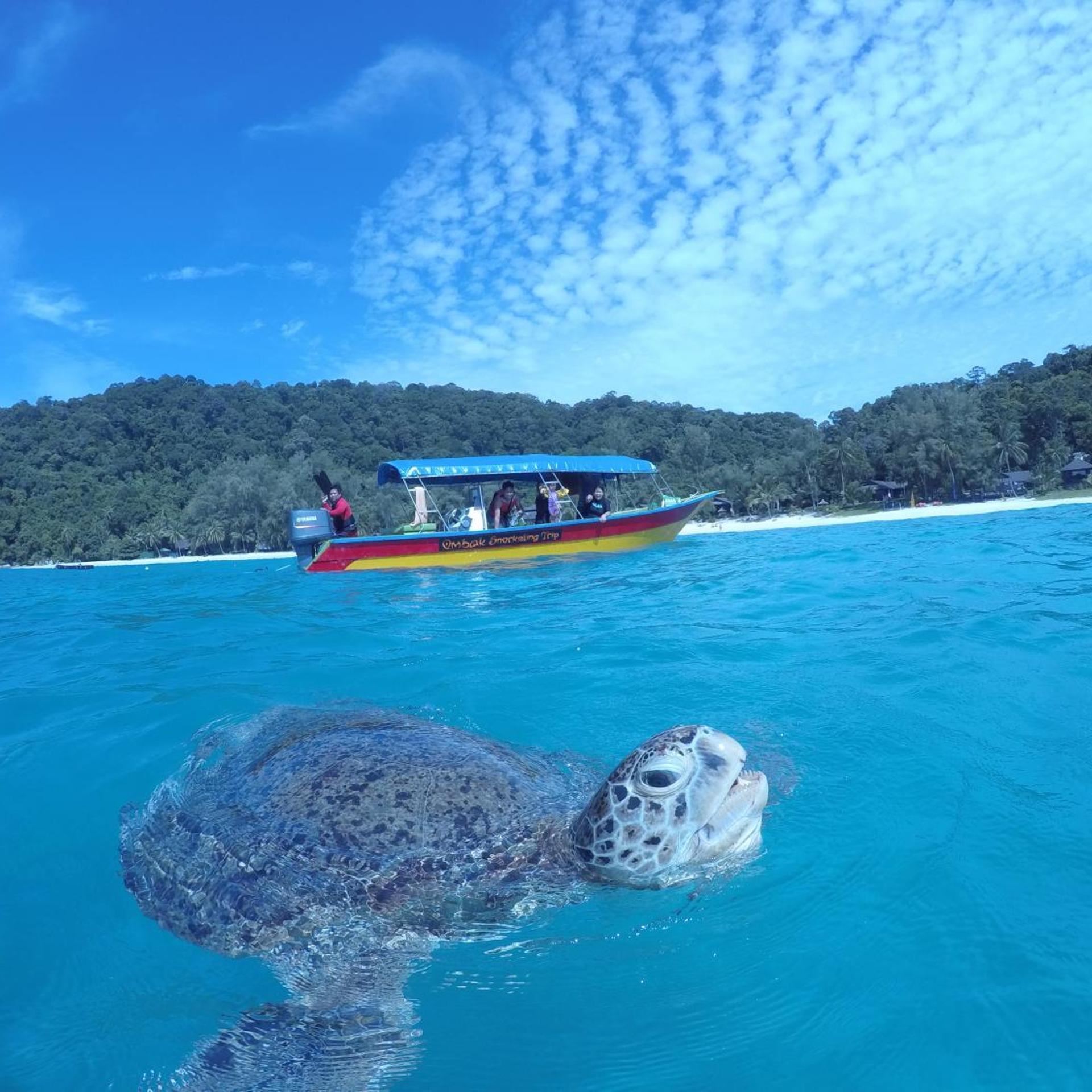 Ombak Dive Resort 57/62