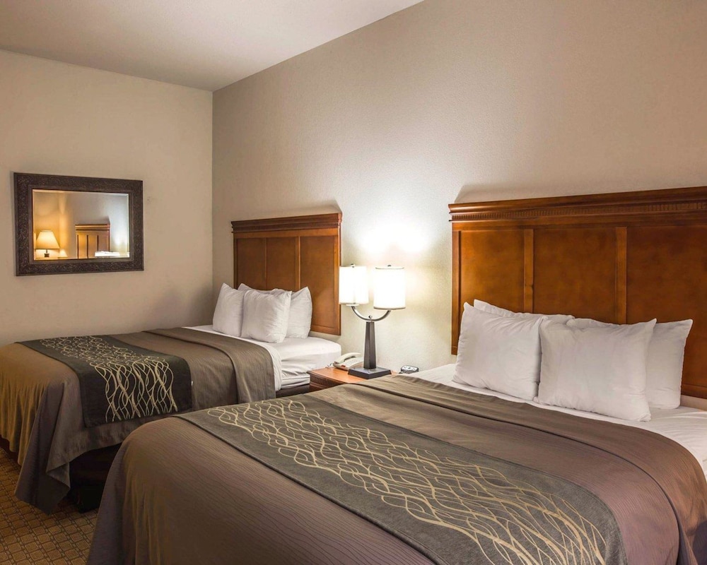 Comfort Inn & Suites Rogersville 9/37