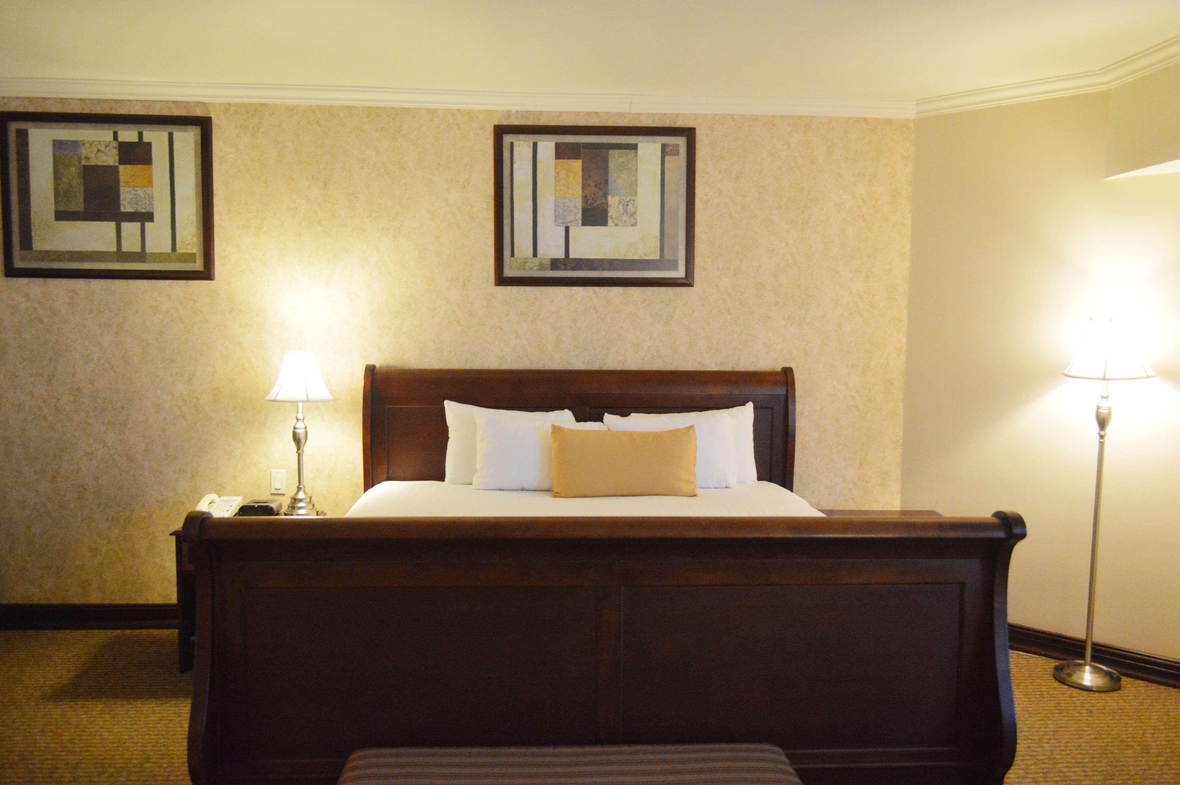 Suite, King Bed