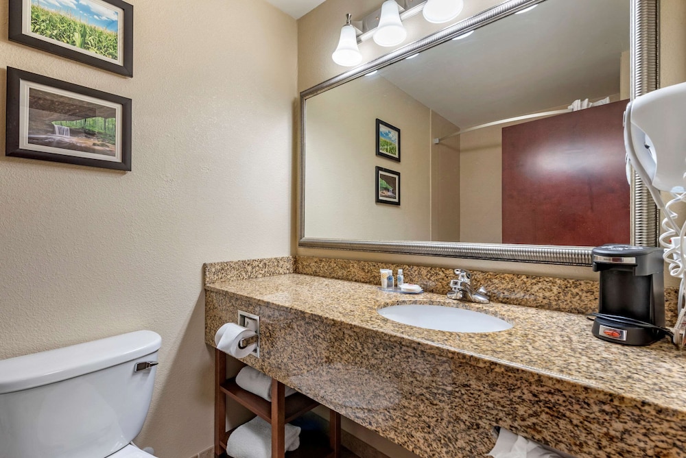 Comfort Inn & Suites Muncie Near University 20/24
